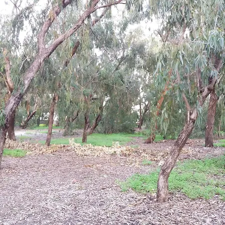 Miltos House לרנקה