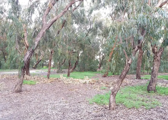 Miltos House Λάρνακα